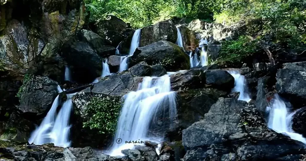 An image of Nelliampathy Waterfall, added for informational purpose.