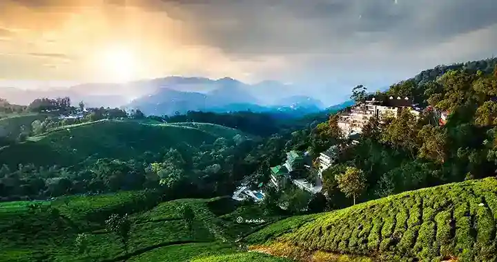 The image represents , wonderful view of Munnar, in the golden hours.