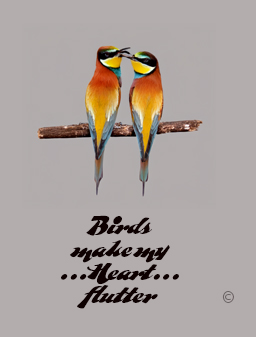 The image represents a card depicting the benefits of birding activity: Birding makes our hearts flutter. The card also shows a pair of colorful birds having a funny moment.