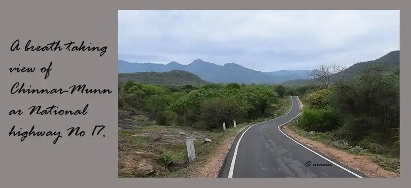 This is a breath taking view we will see while driving through the Chinnar- Munnar National High way No . 17