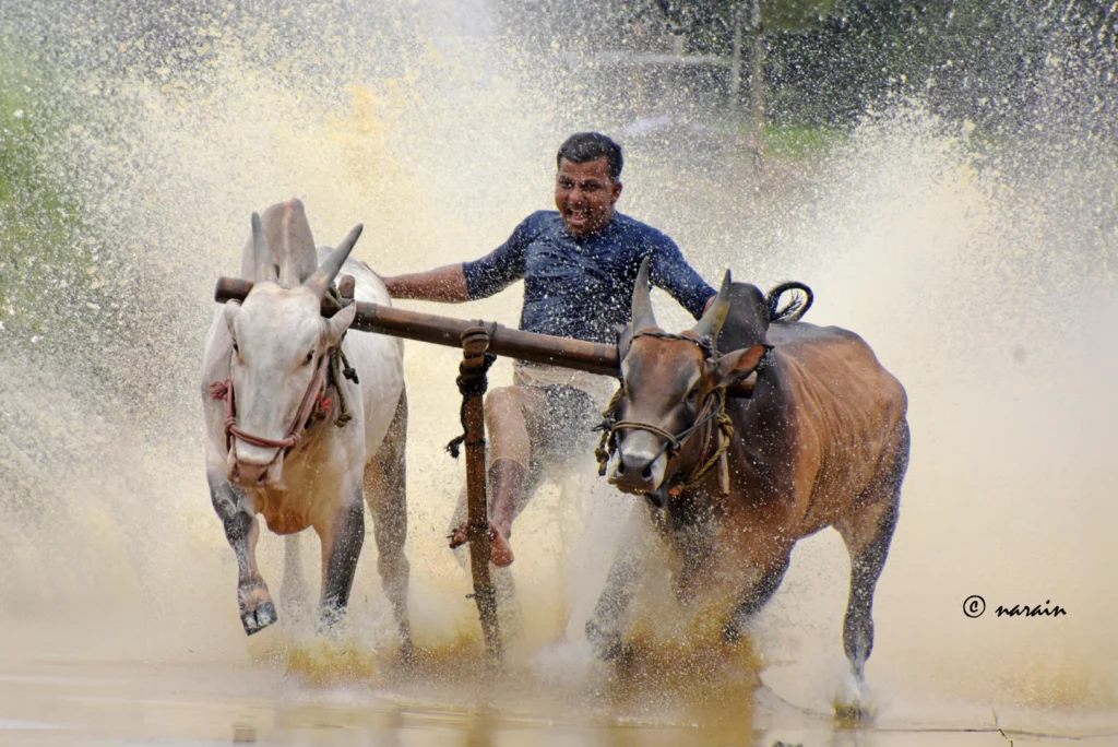 One of images shot at Kalappoottu Events conducted at Chidali Padam